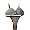 Leopard Print Push-Up Bra & Panty Set