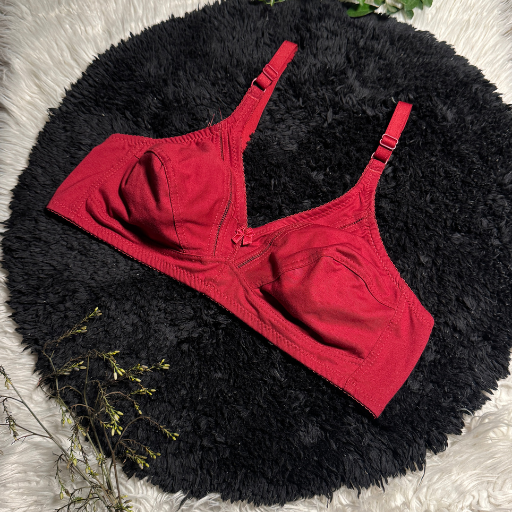 Non-Padded Mesh Bra for Women