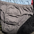 Everyday Comfort Cotton Briefs – Pack of 5 (Assorted Colors)